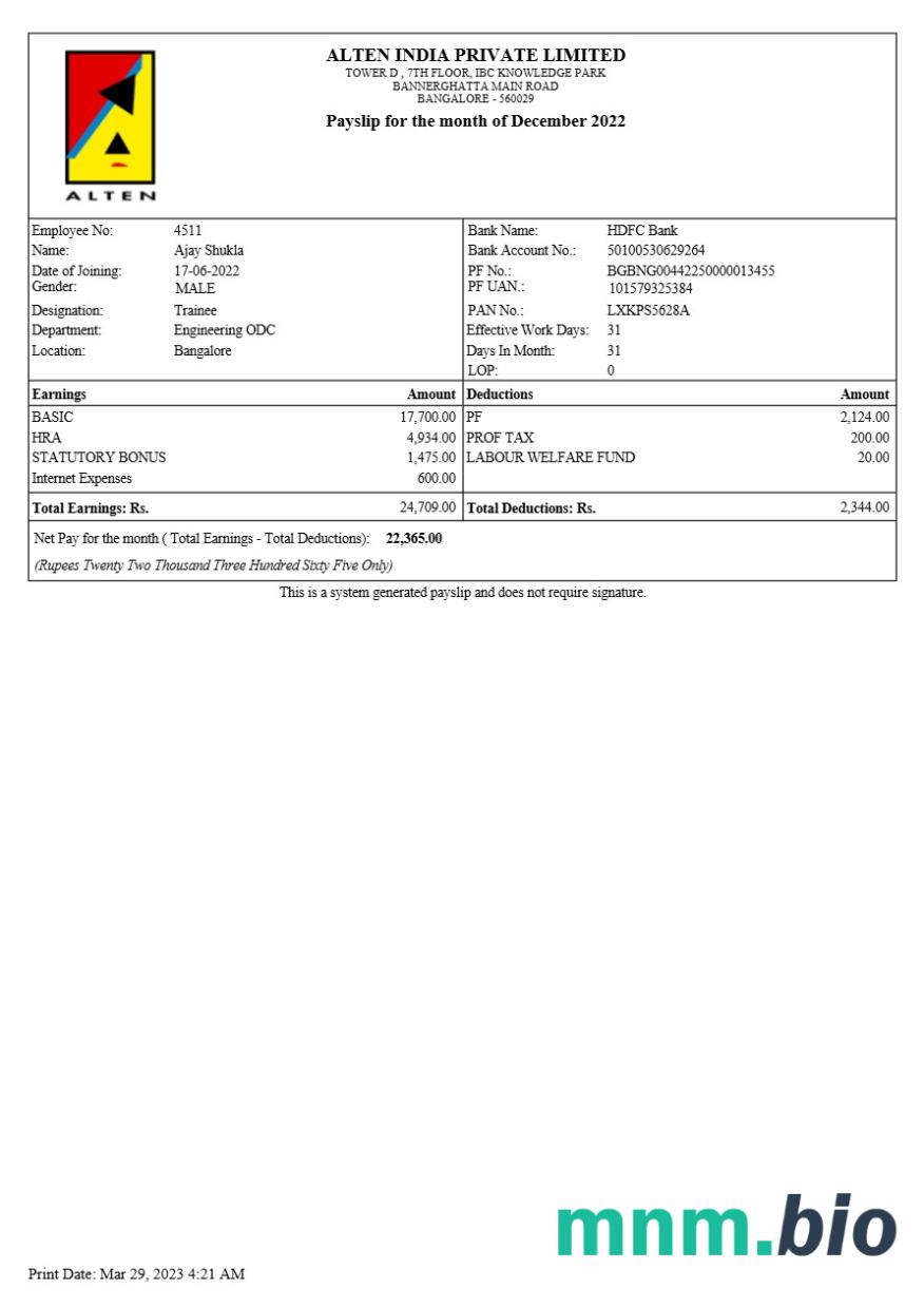 Szablon odcinka wypłaty Alten India w formatach Word i PDF, 3
